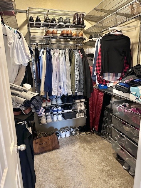 spacious closet featuring carpet