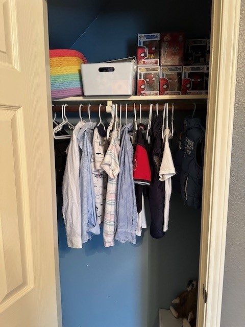 view of closet