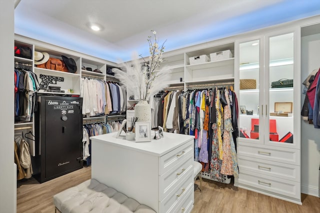 walk in closet featuring light hardwood / wood-style floors