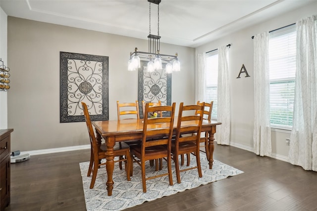 dining room featuring dark hardwood / wood-style flooring and a wealth of natural light