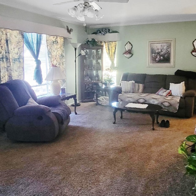 living room featuring ceiling fan and carpet flooring