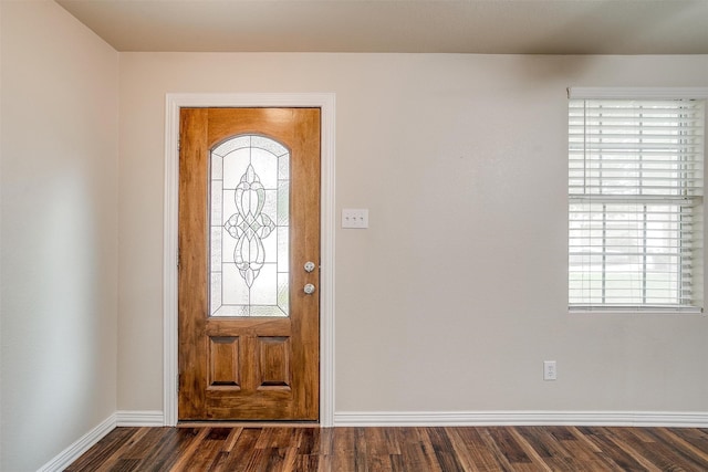 entrance foyer with dark wood-type flooring