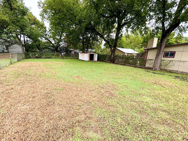 view of yard featuring a storage shed