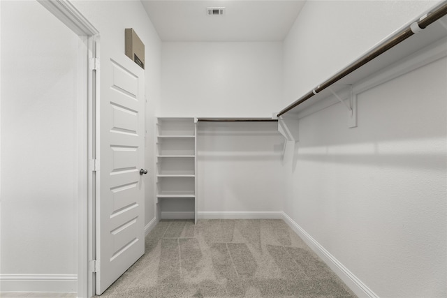 spacious closet with light carpet