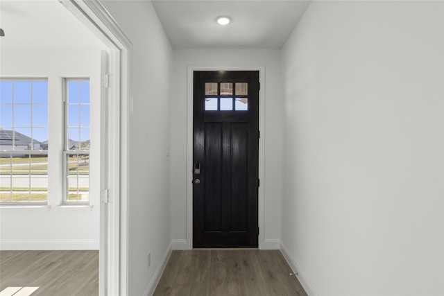 entryway with hardwood / wood-style floors