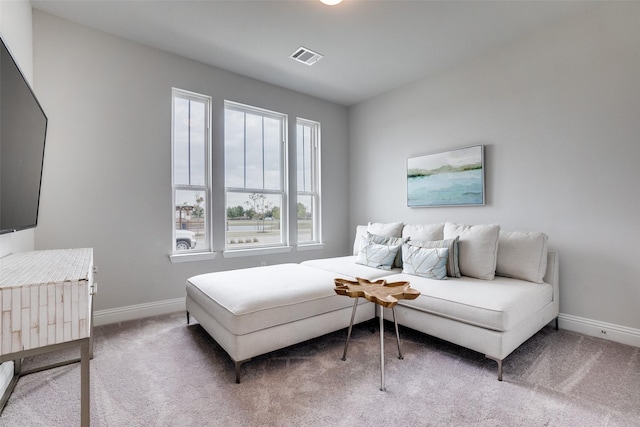 bedroom with carpet