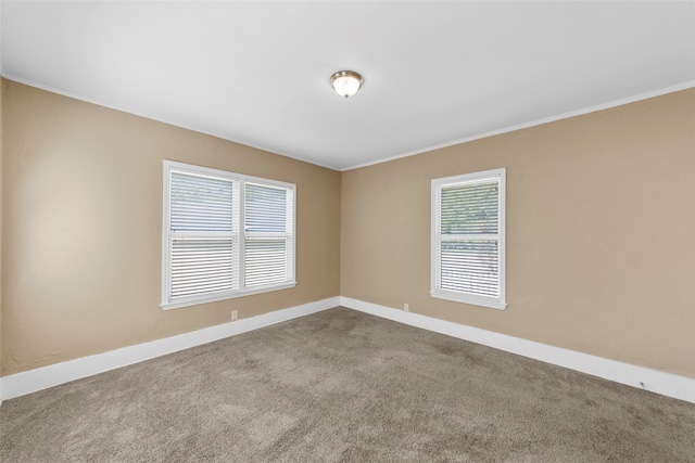 carpeted spare room with crown molding and a healthy amount of sunlight