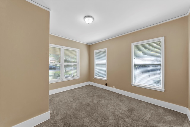 empty room with crown molding and carpet floors