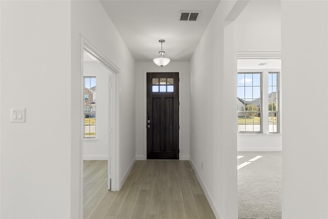 foyer entrance with light hardwood / wood-style floors and a healthy amount of sunlight