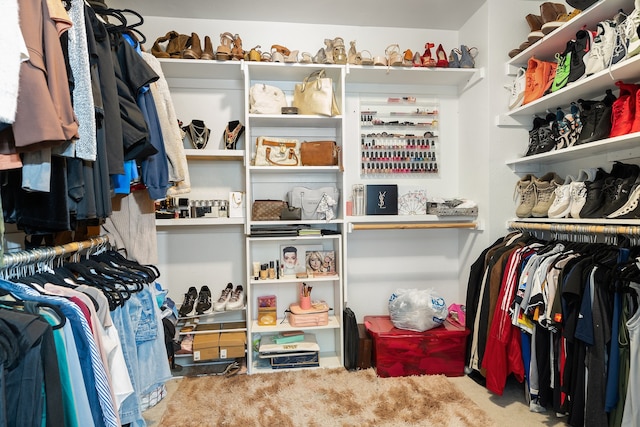 walk in closet with carpet