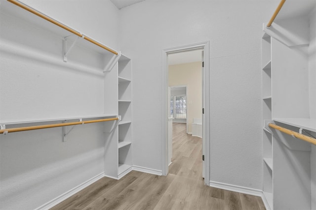 walk in closet with light hardwood / wood-style flooring