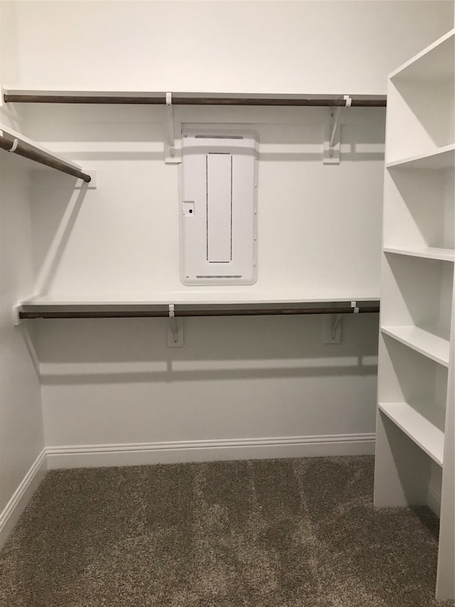 walk in closet featuring dark colored carpet and electric panel