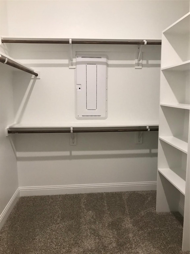 4111 Beamer Dr, Forney, TX 75126 - spacious closet with electric panel and carpet floors