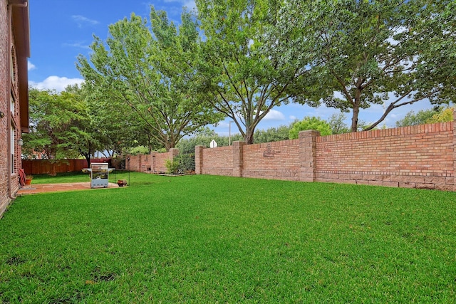 view of yard featuring a patio area