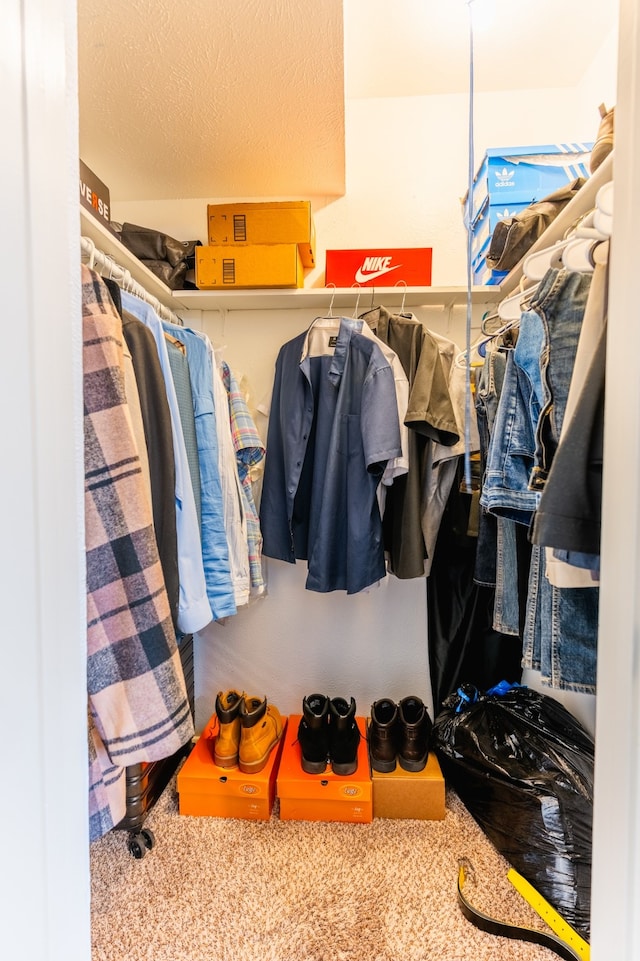 walk in closet featuring carpet floors