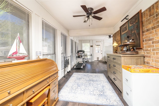 interior space featuring ceiling fan, brick wall, dark hardwood / wood-style flooring, and ornamental molding