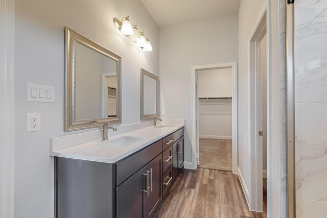 bathroom with hardwood / wood-style flooring and vanity