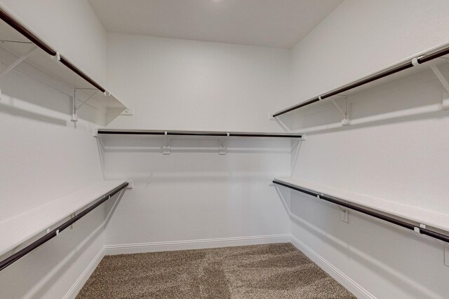 spacious closet with carpet