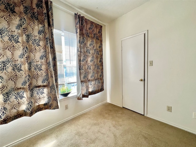 carpeted empty room featuring a healthy amount of sunlight