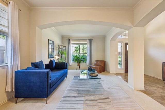 carpeted living room with a wealth of natural light and crown molding