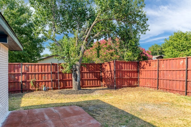 view of yard featuring a patio