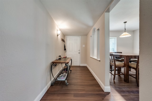 hallway featuring dark hardwood / wood-style floors