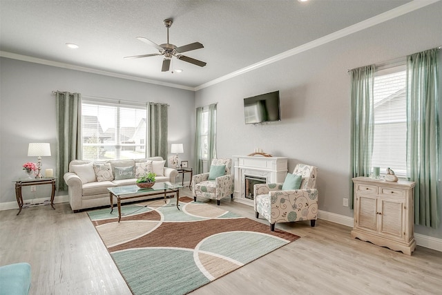 living room with ceiling fan, crown molding, light hardwood / wood-style floors, and a textured ceiling