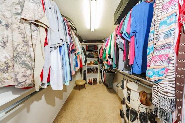 spacious closet featuring light colored carpet