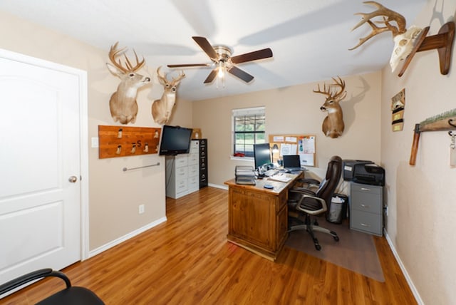 home office featuring light hardwood / wood-style floors and ceiling fan