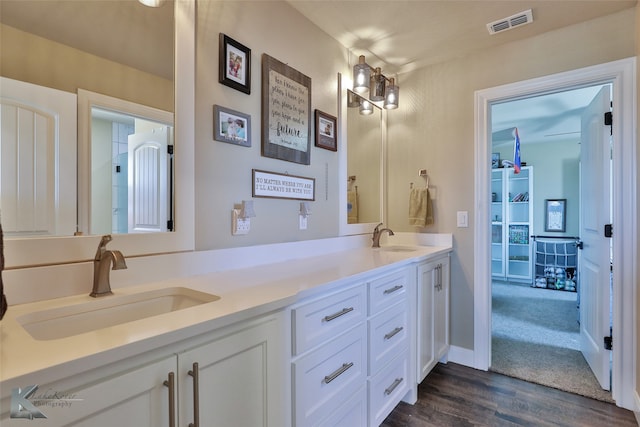 bathroom with wood-type flooring and vanity