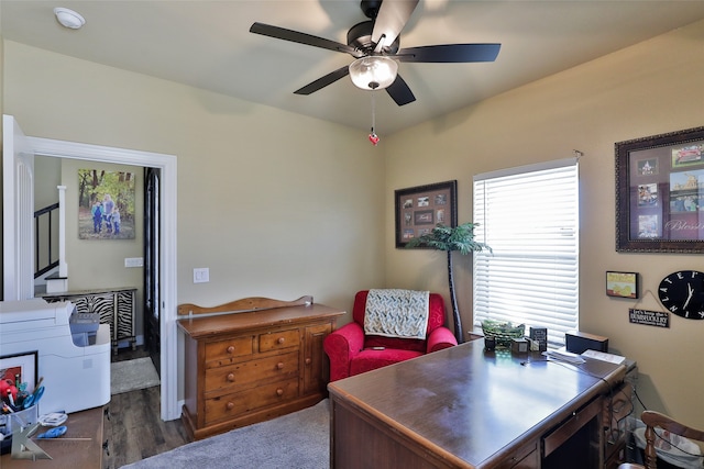 home office with ceiling fan and dark hardwood / wood-style floors