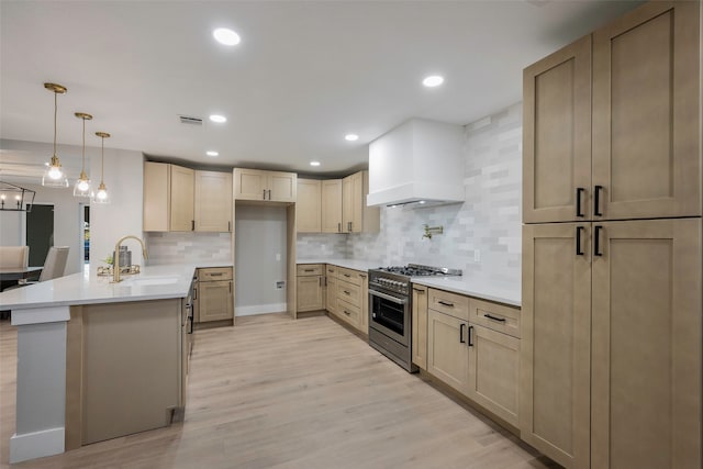 kitchen featuring high end stove, tasteful backsplash, sink, and premium range hood