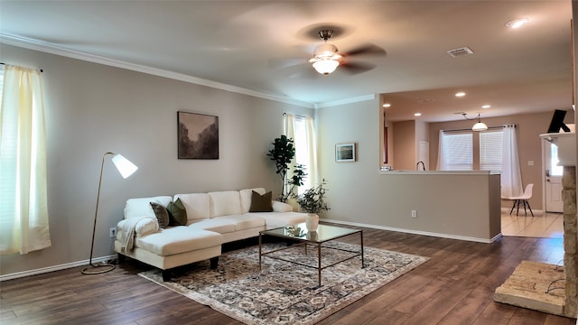 living room with ceiling fan, dark hardwood / wood-style floors, and ornamental molding