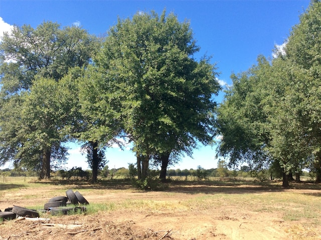 view of local wilderness with a rural view