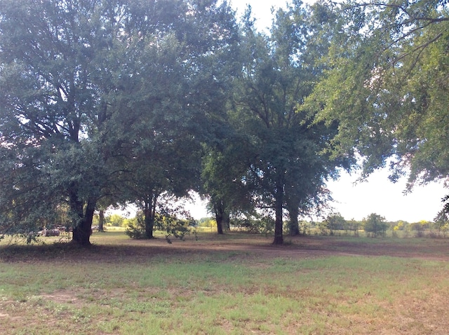 view of yard with a rural view