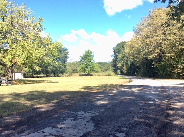 view of yard with a shed