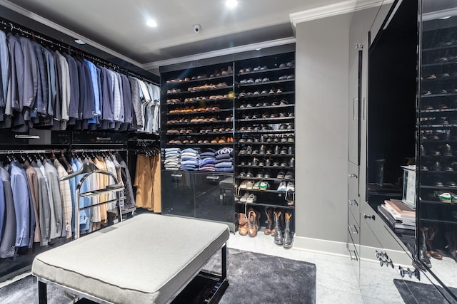 view of spacious closet