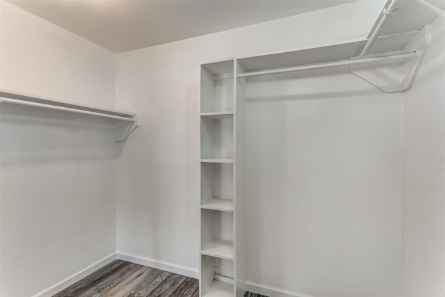 spacious closet featuring dark wood-type flooring