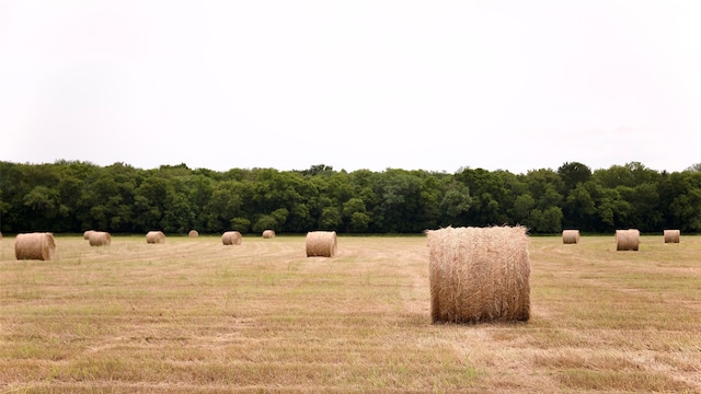 view of yard featuring a rural view