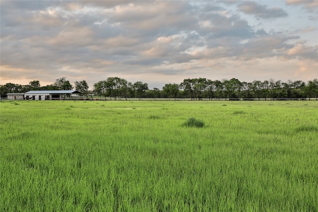 view of yard featuring a rural view