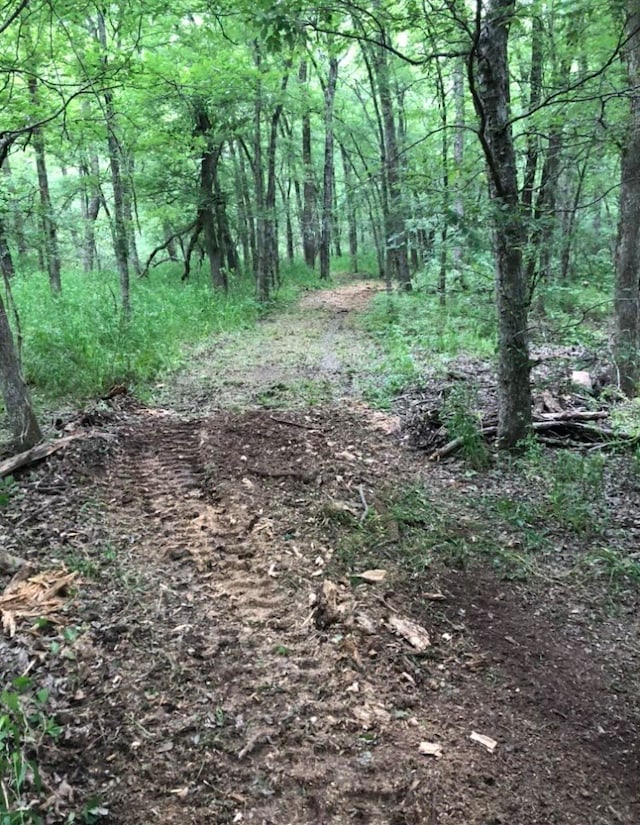 view of local wilderness