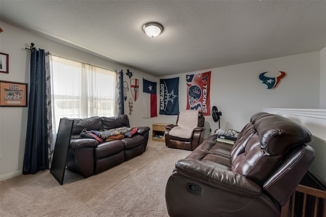 carpeted living room with a textured ceiling