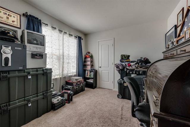 office area with light colored carpet