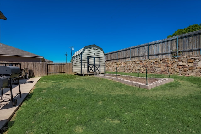 view of yard with a patio and a storage shed