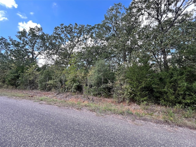 Listing photo 3 for TBD Fcr 1201 Road, Fairfield TX 75840