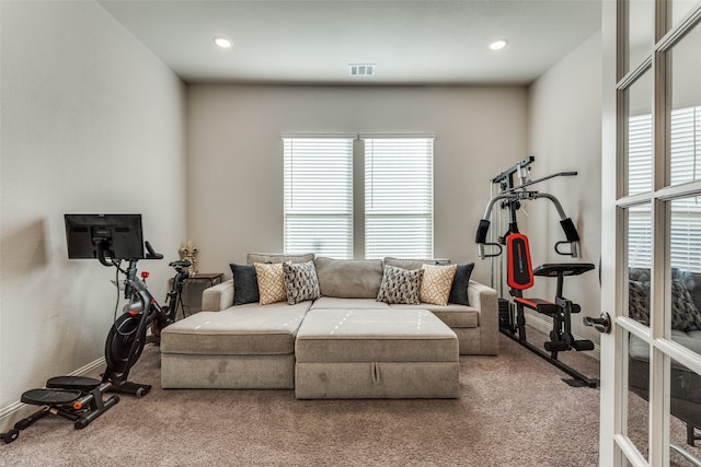 living room with carpet flooring