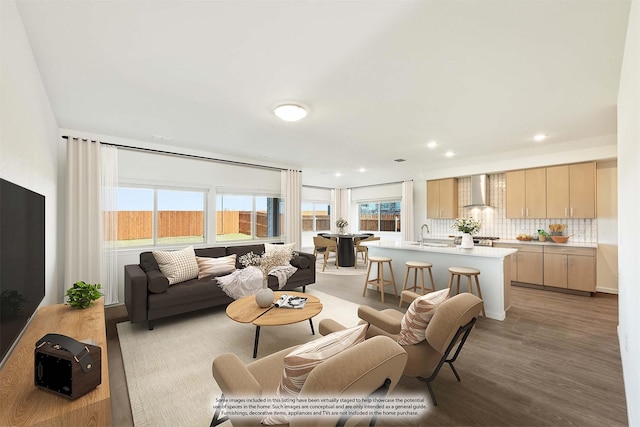 living room with hardwood / wood-style floors and sink