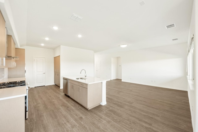 kitchen with a kitchen island with sink, sink, light hardwood / wood-style floors, and appliances with stainless steel finishes