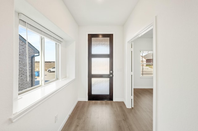 entrance foyer with light hardwood / wood-style flooring