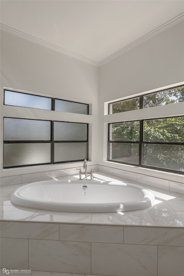 bathroom with ornamental molding